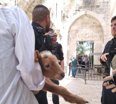 פסח שני: עוכבו בדרך להר הבית - בנסיון להקריב קרבן פסח