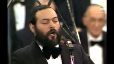 "כשרוזנבלט פגש את..." / אופיר סובול