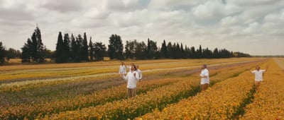להקת החתונות "לב אבות" במחרוזת שמחה וריקודים