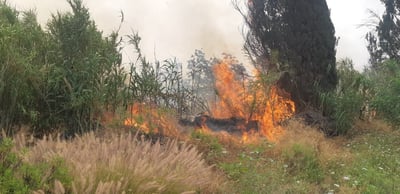 שריפה באזור צומת סגולה