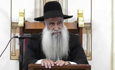 פרשת שופטים | שיעורו השבועי של הרב שי פרי • צפו