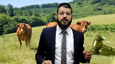 הרב ישראל לורי על פרשת חוקת | צפו