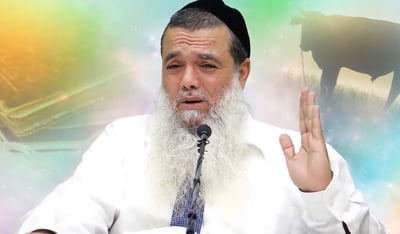 הרב יגאל כהן בוורט לפרשת חוקת • צפו