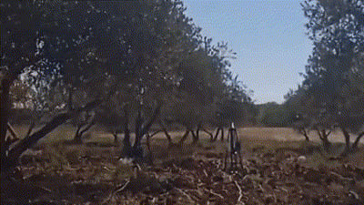 רקטה שוגרה הבוקר מאזור ג'נין; דובר צה"ל: "הרקטה לא היוותה סכנה" | צפו בשיגור