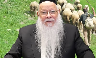 הרב מרדכי מלכא על פרשת בלק • צפו