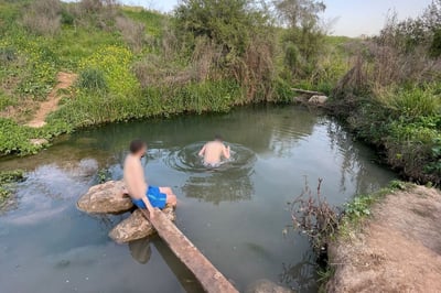 בריכת צאנן