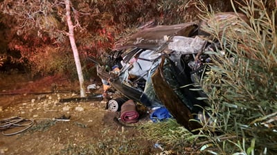 נהג רכב התהפך עם רכבו לצמחייה בצד הכביש - ונהרג