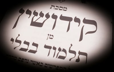הדף היומי