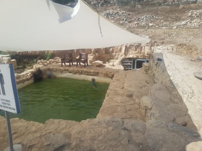 "עין המסייעת"