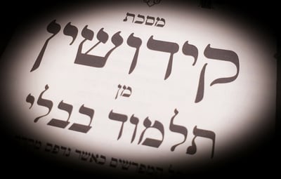 הדף היומי
