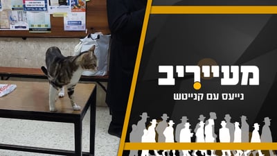הגניבה תועדה במצלמות האבטחה - והבחורים נזרקו מהישיבה • מעייריב