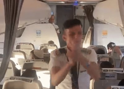 הדייל במטוס 