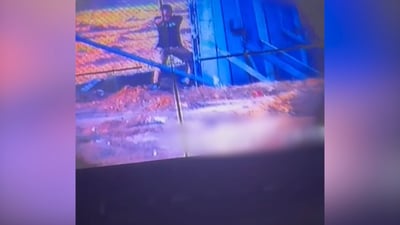 תיעוד דרמטי וחריג | מחבל מגיח מהגדר ופותח באש, צלף צה"ל מכוון ופוגע