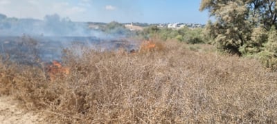 טרור בלוני התבערה חוזר; שריפה פרצה בעוטף עזה | צפו
