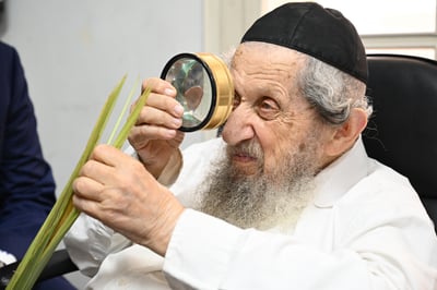 הגאון רבי דב לנדו בוחן את הלולב המהודר