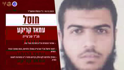 בתקיפה אווירית: המפקד החדש של גדוד שג'עייה - חוסל