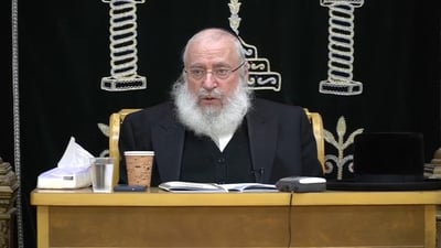 הגאון רבי אשר וייס בשיעור
