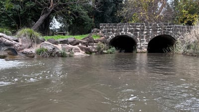 תחזית מזג האוויר: התקררות קלה ביום, בערב יתחיל גשם 