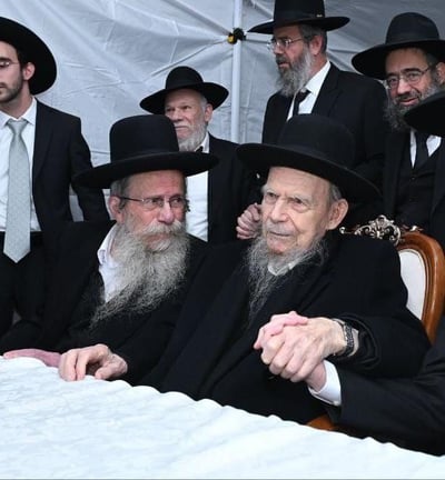 הגר"ש אדלשטיין עם אחיו הגרי"ג זצוק"ל