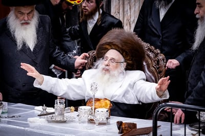 הטיש הנעלה והגילופין | פורים בחצר צאנז קלויזנבורג