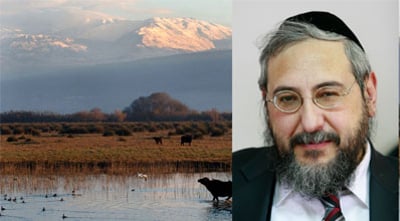אמסלם על רקע הגולן.