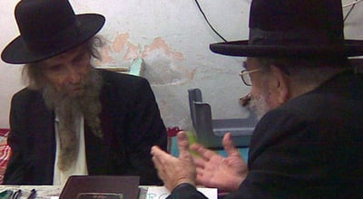 פגישה נדירה (