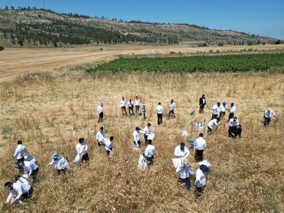 המחשת ההלכה בפועל תורמת רבות להעמקת הלימוד וללמידת כל צדדי הסוגיה על בוריים - אברכי הכולל יצאו מבית המדרש לשדות החיטה