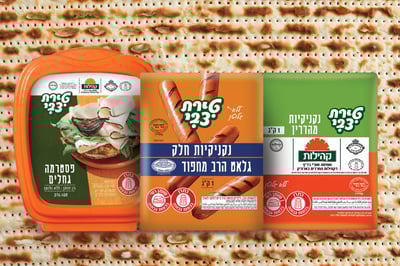 מענה בכל עת ובכל מקום, לארוחות סדירות בבית, בתקופת ההכנות לפסח ולימי חול המועד