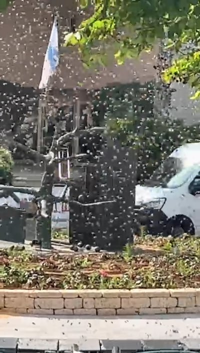 הדבורים היום בחדרה
