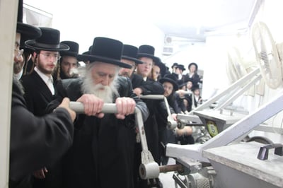 האדמו"ר ממחנובקה בעלזא בטחינת חטים