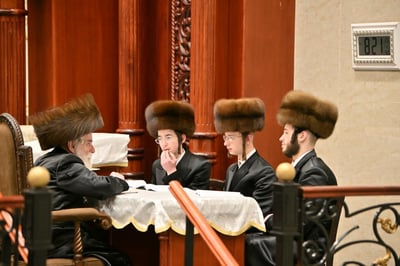חג הפסח בחצה"ק ויזניץ