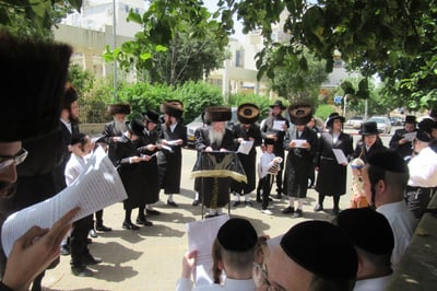 חג הפסח בחצה"ק קרעטשניף ק"ג