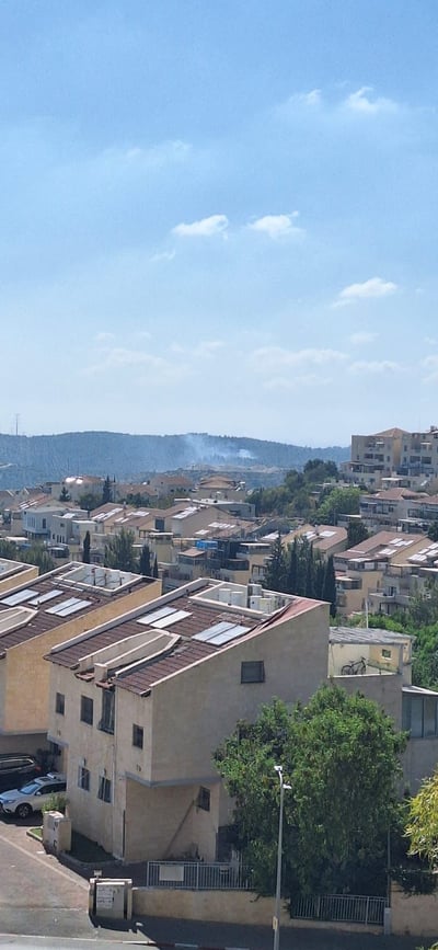 השריפה ביער ישעי סמוך לבית שמש