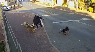 ההתנפלות על תלמיד הישיבה