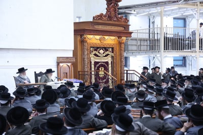 יום שכולו תורה ב'תולדות אהרן'