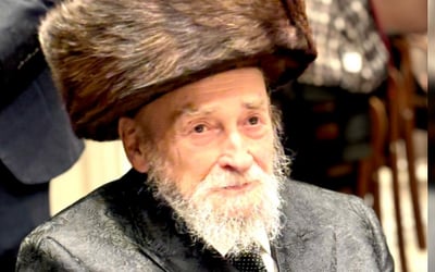 בין איש עסקים ממולח לרב הנערץ // זלמן שטוב בהספד דומע