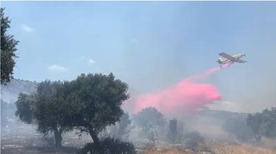 אדמה חרוכה ויערות חשופים: טייסת אלעד הוזעקה לגליל התחתון