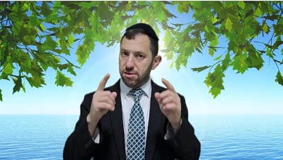 הרב נפתלי וסרמן על פרשת פנחס • צפו