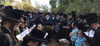 האדמו"ר מפרמישלן בתשליך