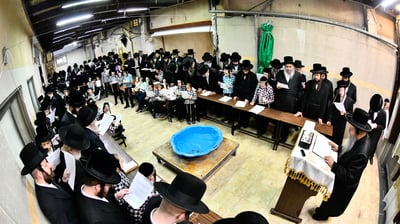 האדמו"ר משבט הלוי בתשליך 