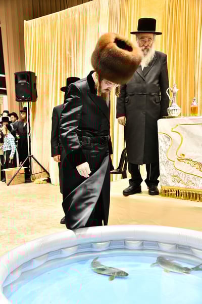 האדמו"ר מסאדיגורה במנהג תשליך