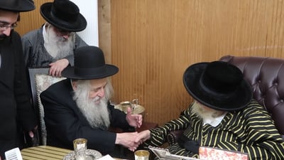 פגישת ידידות: צפו כשהאדמו"ר והגרי"ד טורצ'ין נפגשו לשיחה 