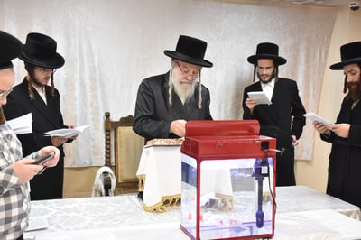 ערב ומוצאי יום כיפור בחצה"ק אשלג 