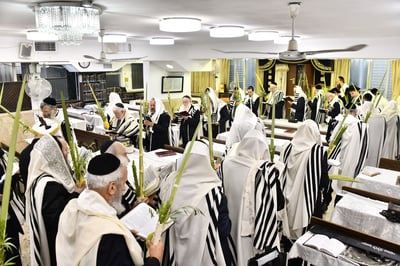 הגאון רבי יהודה סילמן בנטילת לולב