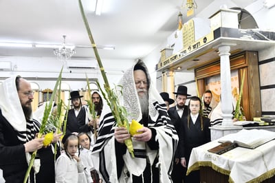 האדמו"ר ממודז'יץ בנטילת לולב