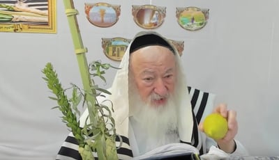 בואו לסיים ש"ס תוך שנה | השיעור היום: מסכת עירובין כ"ח-ל"ד