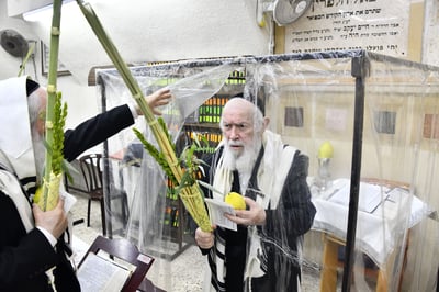 הגאון רבי יצחק זילברשטיין בנטילת לולב