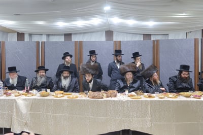 שמחת השבע ברכות בחצרות מעליץ - ערלוי אלעד -ראדומישלא 
