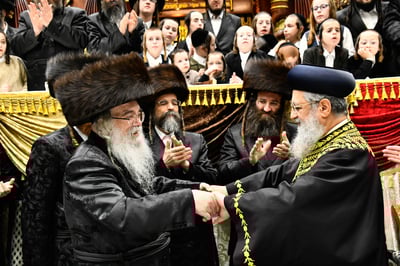 שמחת נישואי נכדת האדמו"ר מדארג