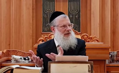 מהפרשה: האם העץ שהמתיק את המים, היה מתוק או מר?
